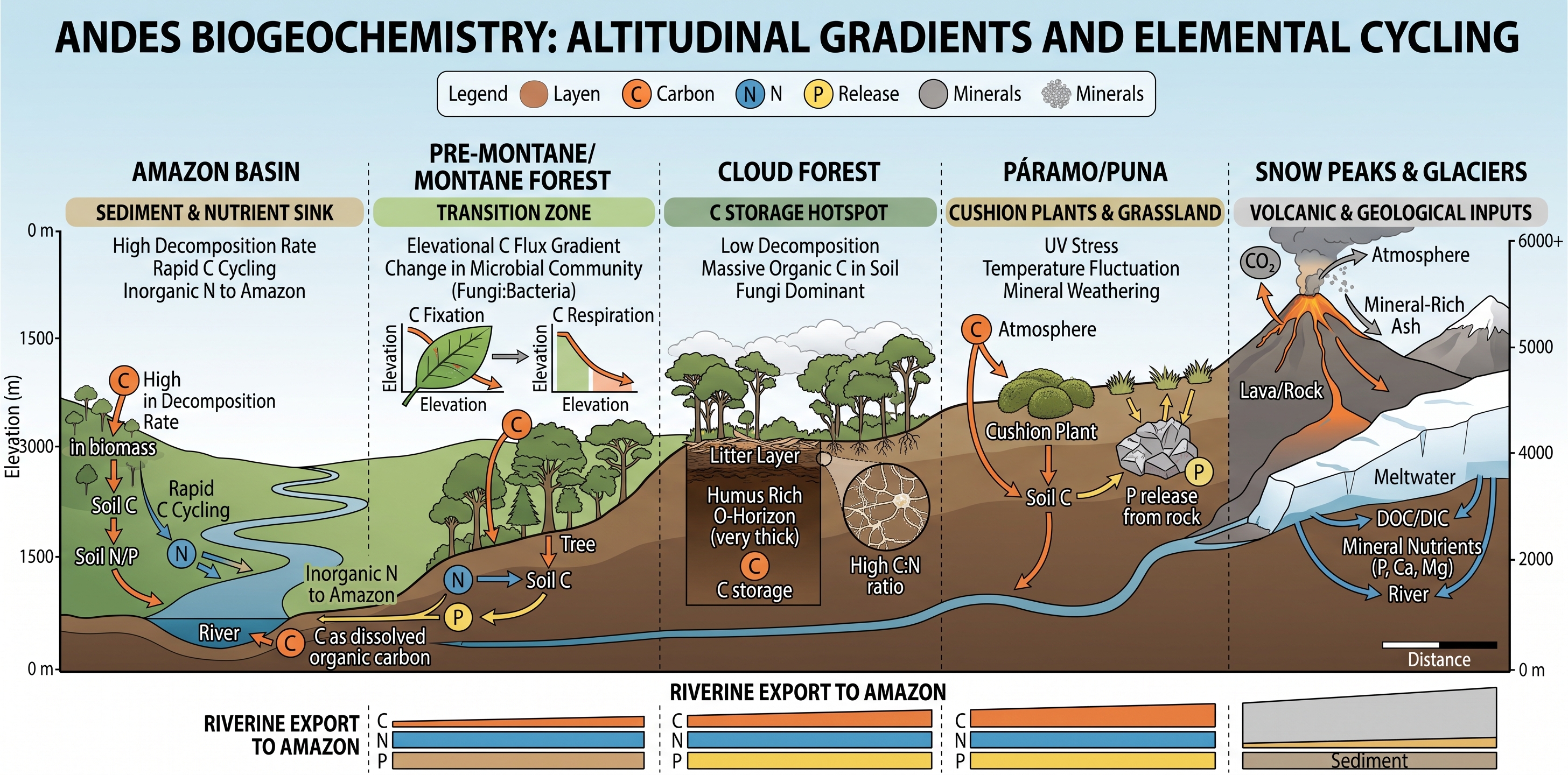 Biogeochemistry